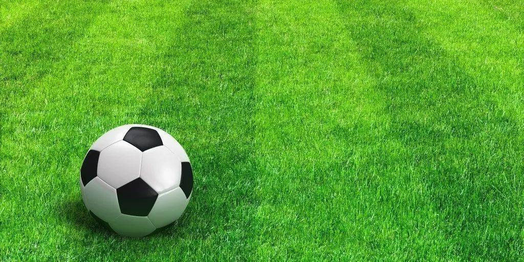 用户使用专业足球赛事预测模型app场景